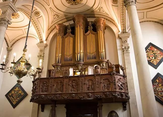 Christ Church City: MARK SWINTON